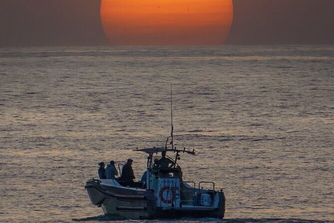 "2 bays, mornings, afternoons, sunset with a glass of cava - Key things to know before you go