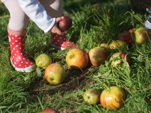 "Basque Cider House" guided tour + meal from San Sebastian - Should you book Basque Cider House from San Sebastián?