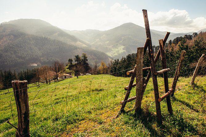 " Basque Farm House & Cider house" tour + meal from San Sebastian - Sidrería Oiharte: orchards, presses, cellars, then txotx