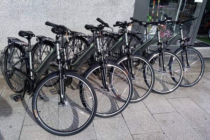 Bike Tour in San Sebastián with FREE pintxo and drink! - Anoeta Stadium area: a taste of the modern side of town