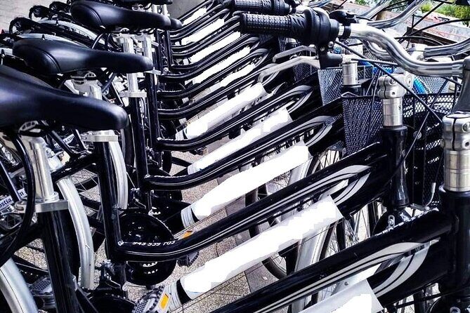 Bike Tour in San Sebastián with FREE pintxo and drink! - La Concha Beach stretch: the classic San Sebastián coastline, done by bike