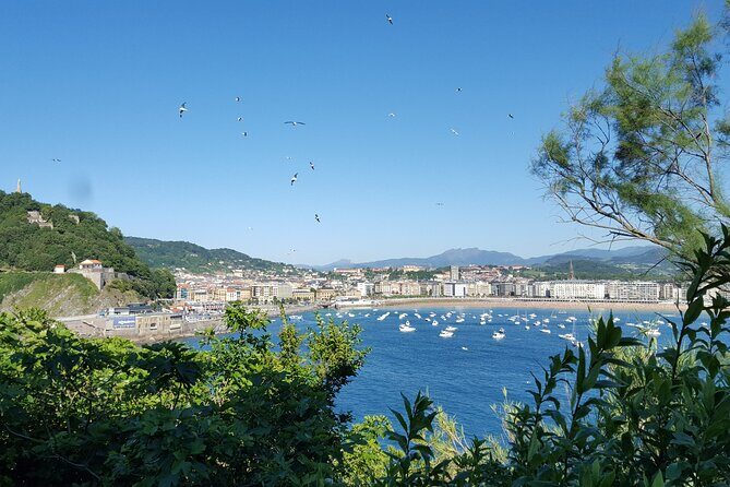 Boat by the Bay and Santa Clara Island in Donostia San Sebastian - Timing, weather, and crowds: Picking the right day