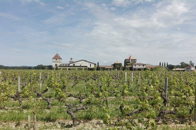 Bordeaux Uncorked: Private Premium Wine Tour from San Sebastian - 7:00 am pickup and the drive that makes or breaks the day