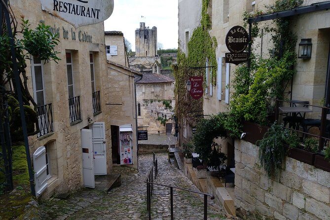 Bordeaux Uncorked: Private Premium Wine Tour from San Sebastian - La Cave Dourthe: the sommelier class that turns tasting into understanding