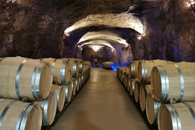 Bordeaux Uncorked: Private Premium Wine Tour from San Sebastian - Terroir in plain terms: what you’ll actually take away