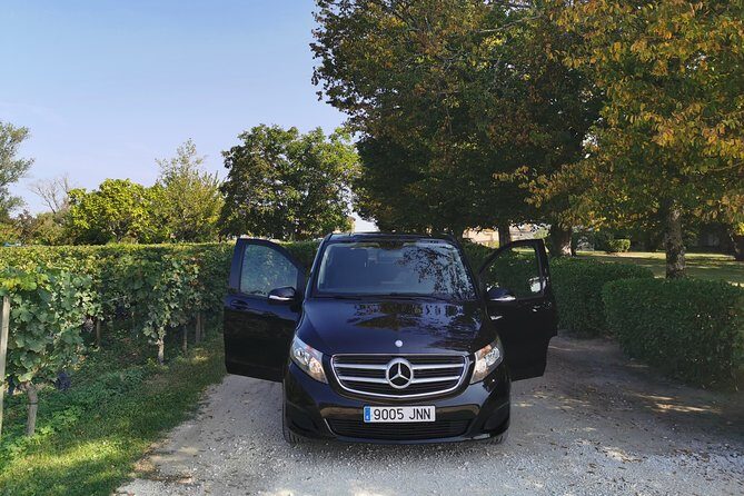 Bordeaux Uncorked: Private Premium Wine Tour from San Sebastian - Who this tour suits best