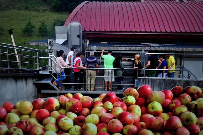 Cider House Experience From San Sebastian - Price and value: is $132.32 worth it?