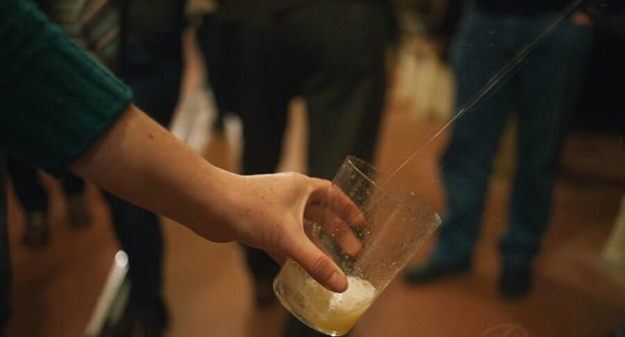 Cider House Experience From San Sebastián - Group size, language, and who this tour suits best