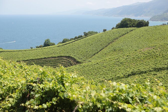 Coast, fish and txakoli wine - Breakfast at the chef’s bar: croissants that set the tone