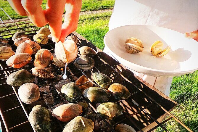 Coast, fish and txakoli wine - The geo-park walk option: great views, with a real decision to make