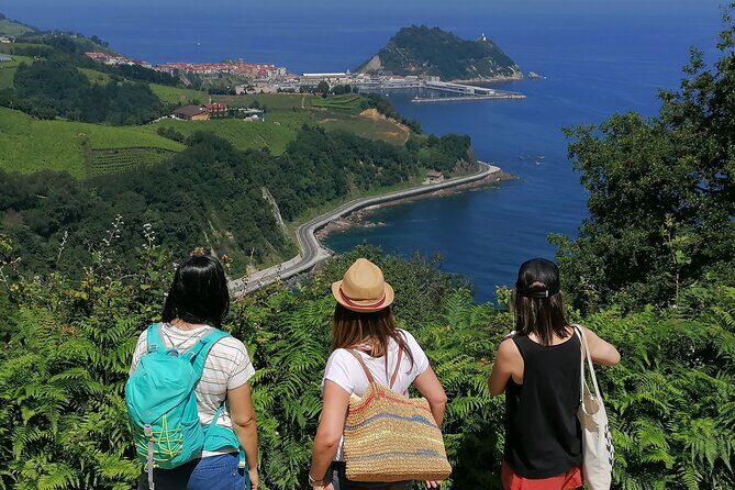 Coastal "Winery Camino Trail" Walking Tour from San Sebastian - Key highlights (so you know what matters)