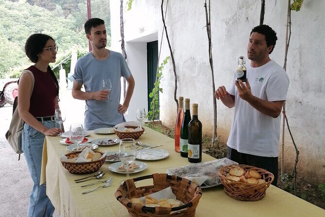 Coastal "Winery Camino Trail" Walking Tour from San Sebastian - Zarautz beach walk and a real market stop