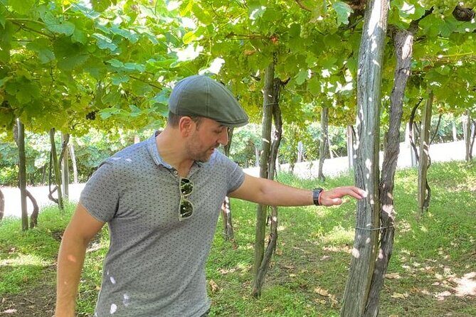 Coastal "Winery Camino Trail" Walking Tour from San Sebastian - Who should book this (and who should skip it)