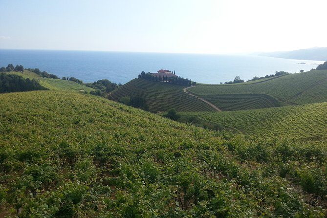 Countryside & Coast Private tour - Who this tour suits best from San Sebastián