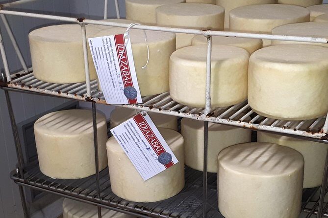 Discover the Art of Idiazabal Cheese in the Basque Country - Quick takeaways for Idiazabal cheese lovers