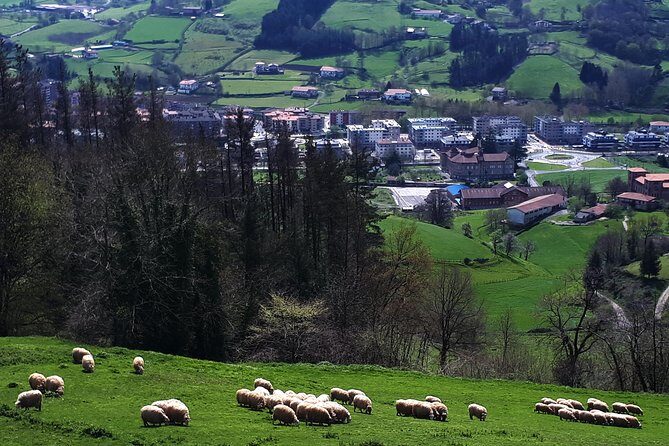 Discover the Art of Idiazabal Cheese in the Basque Country - What to bring and how to plan for the no-lunch gap