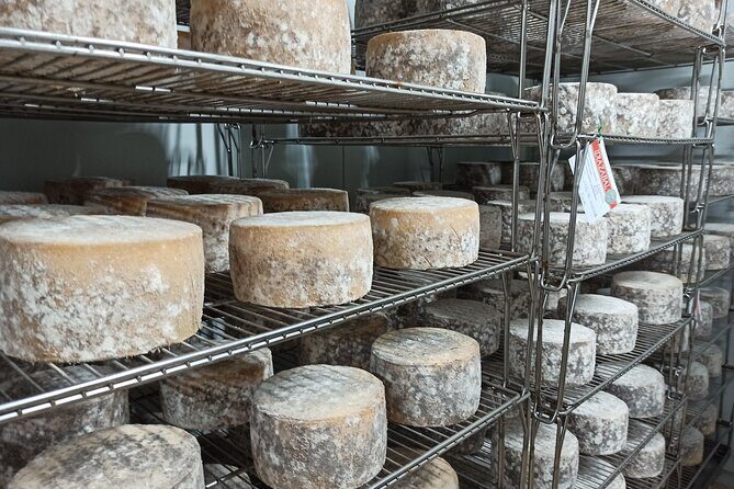 Discover the artisan producers of the mountain - Town return for street atmosphere and wine (a good change of pace)