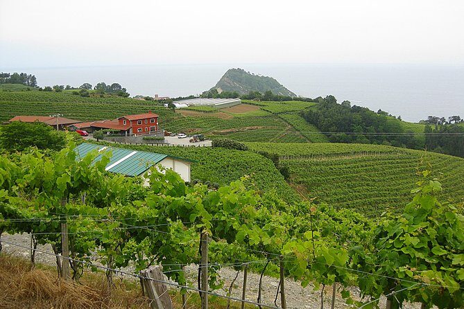 Discover the Essence of Txakoli Wine from San Sebastian - Small-Group Comfort: Pickup, 4 Hours, and a 9:30 am Start