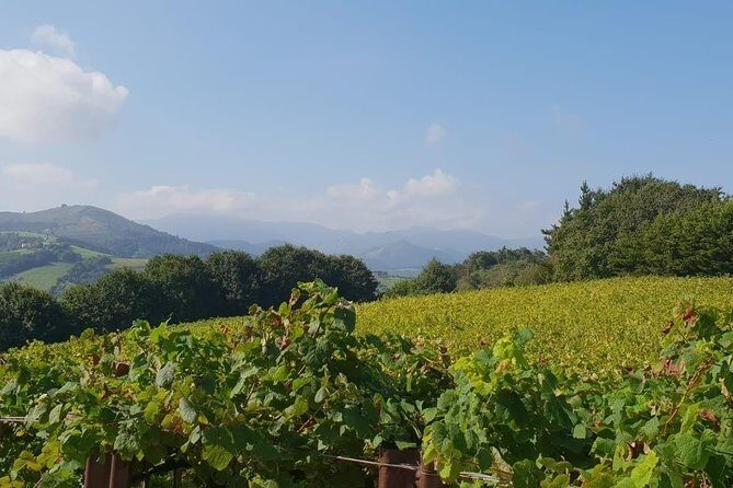 Discover the Essence of Txakoli Wine from San Sebastian - Traditional Txakoli Winery Visits: What You’ll See and Why It Matters