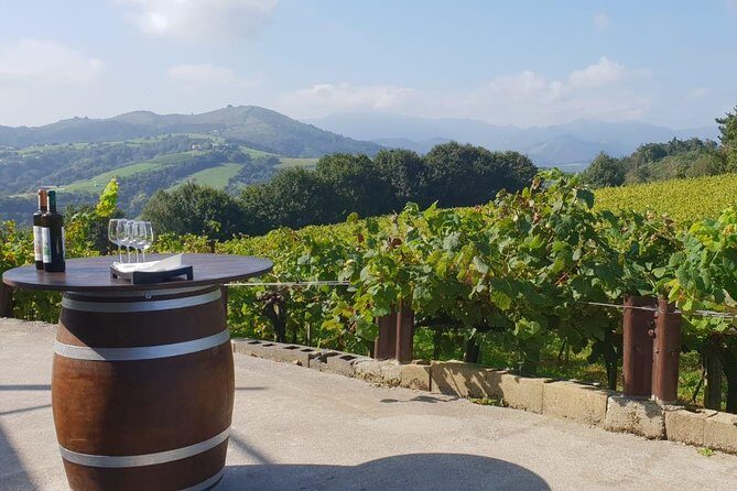 Discover the Essence of Txakoli Wine from San Sebastian - Price and Value: Is $175.36 a Good Deal for What You Get?