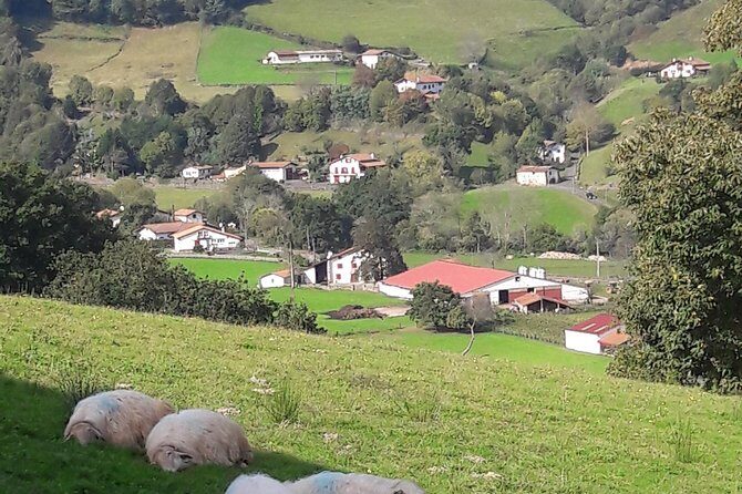 French-Basque Countryside Private tour Discover the hidden beauty of Pyrenees - Food and Culture: What Local Tasting Adds (and What It Can’t Replace)