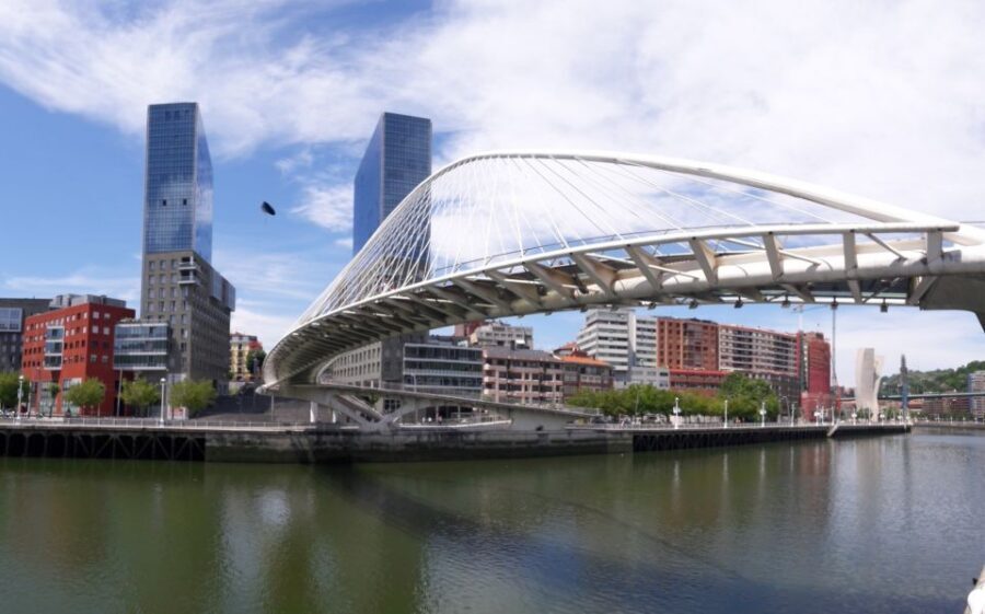 From San Sebastian: Bilbao & Guggenheim Museum Private Tour - What to bring and how to pace your day