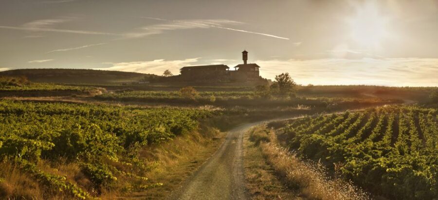 From San Sebastian/Bilbao/Vitoria: La Rioja Wineries Tour - Grapes, barrels, and terroir: how you’ll taste what you learn