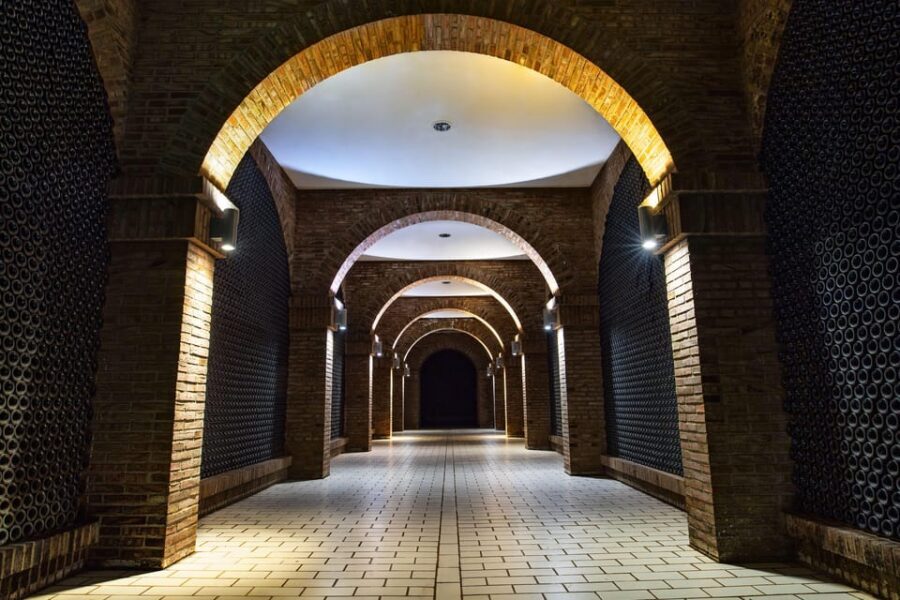 From San Sebastian/Bilbao/Vitoria: La Rioja Wineries Tour - Should you book this La Rioja Wine Tour?