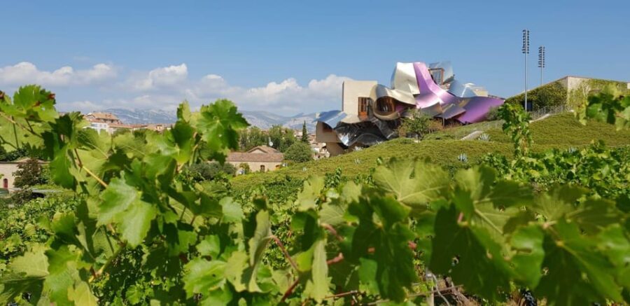 From San Sebastian/Bilbao/Vitoria: Rioja Wine Tour w/ Lunch - Key Rioja Tour Highlights