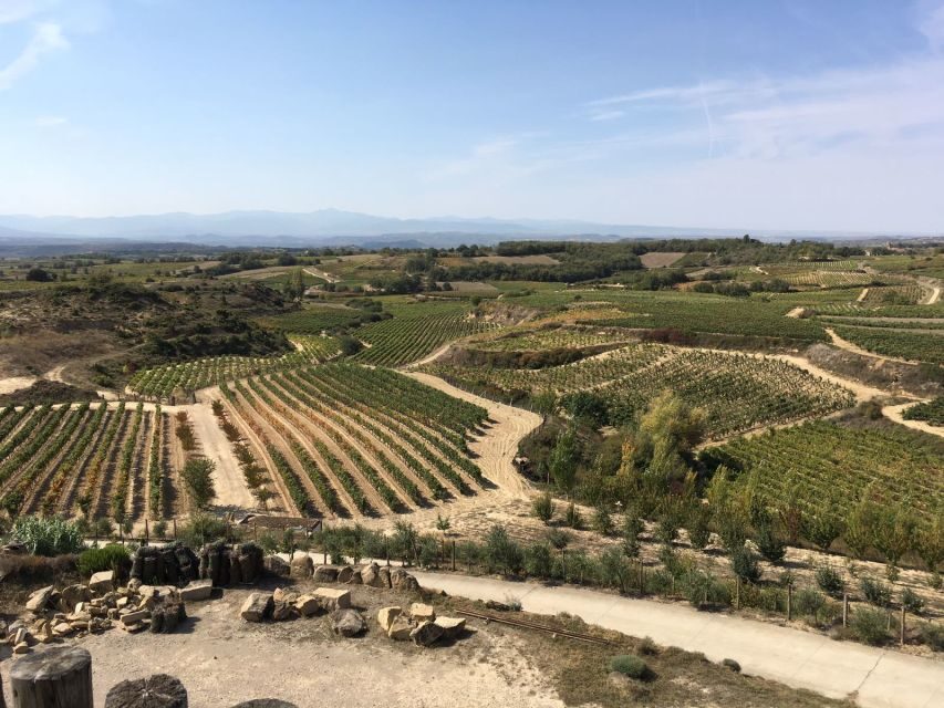 From San Sebastian/Bilbao/Vitoria: Rioja Wine Tour w/ Lunch - Why Rioja Feels Personal When It’s Family-Run