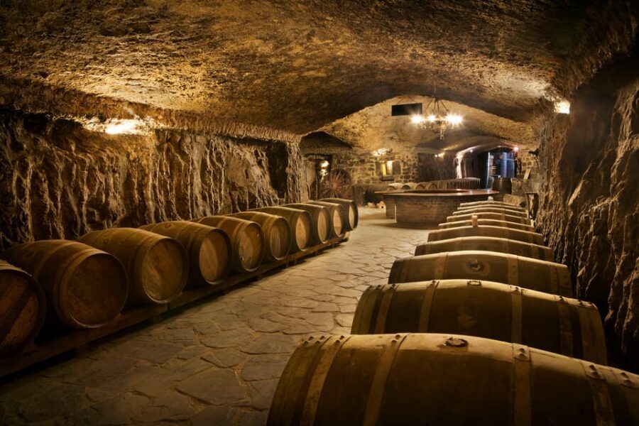 From San Sebastian/Bilbao/Vitoria: Rioja Wine Tour w/ Lunch - Vineyard Walks: What You Should Actually Look For