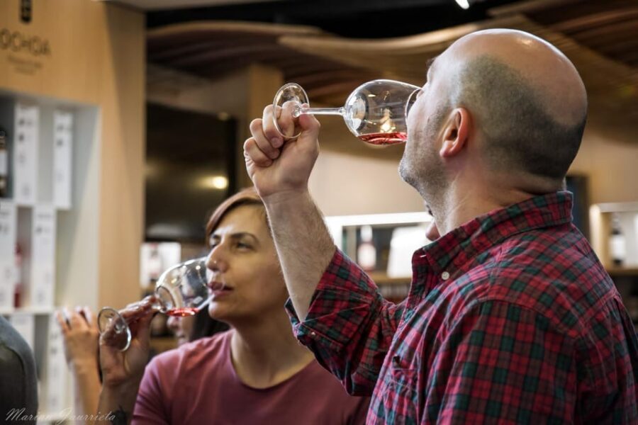 From San Sebastian/Bilbao/Vitoria: Rioja Wine Tour w/ Lunch - Guided Tastings: Rioja Notes You Can Taste on Purpose