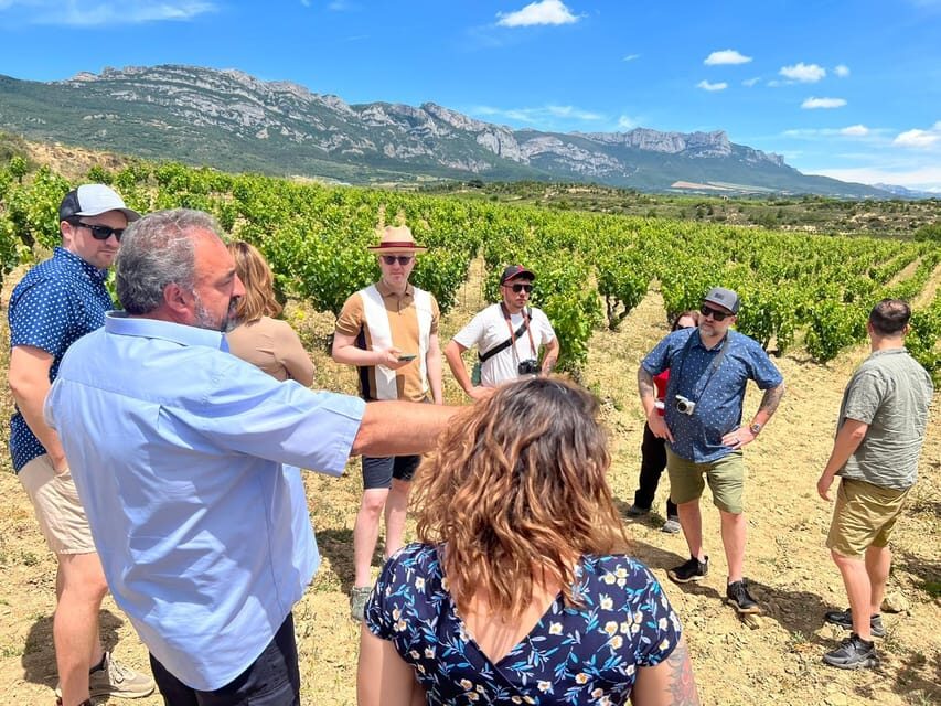 From San Sebastian/Bilbao/Vitoria: Rioja Wine Tour w/ Lunch - Price and Value: Is $330 Worth It?