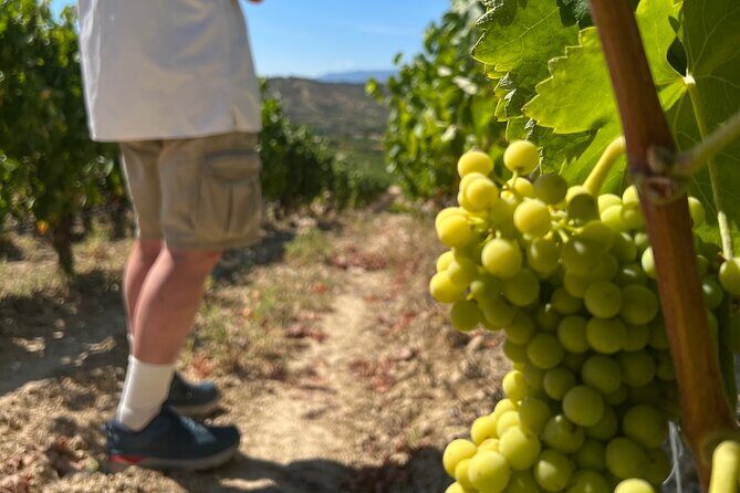 Full Day Tasting The Unknown Rioja Wine Region - Carlos San Pedro Pérez de Vinaspre: underground cave tasting in a medieval village