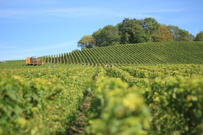 Full Rioja Wine Tour with Lunch from San Sebastian Private Tour - Key highlights you’ll feel on the day