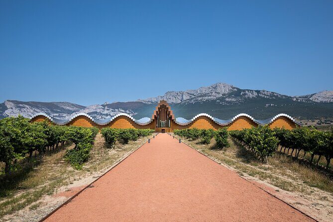 Full Rioja Wine Tour with Lunch from San Sebastian Private Tour - The guide: Mateo and why private tours feel different