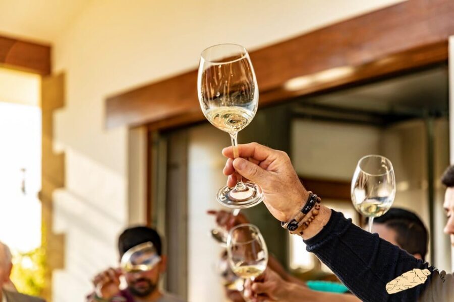 Getaria Txakoli wine tour from San Sebastian - The Tasting: Multiple Txakoli Styles Plus a Cantabrian Aperitif