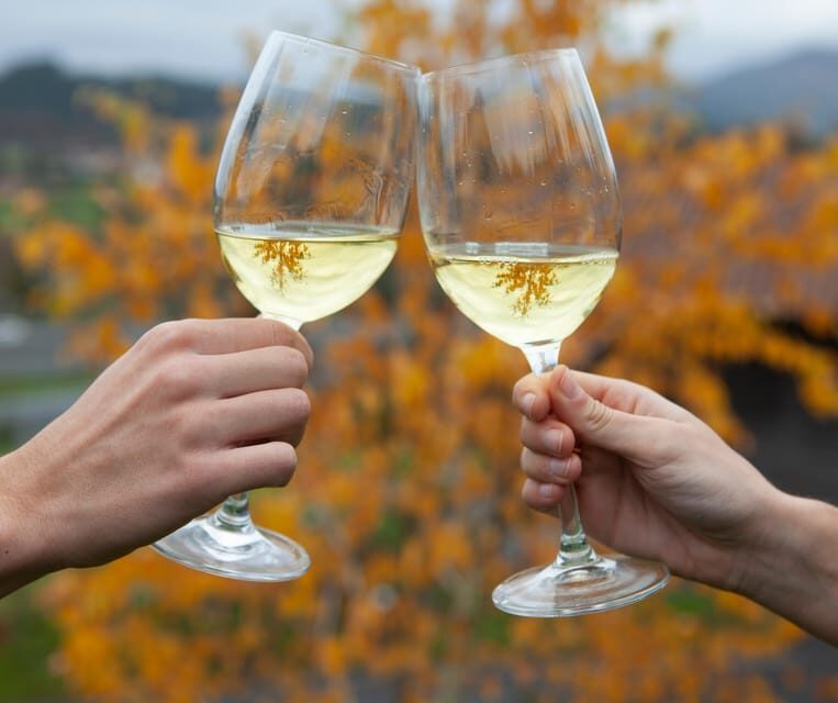 Getaria Txakoli wine tour from San Sebastian - Value Check: Is $171 Worth It?