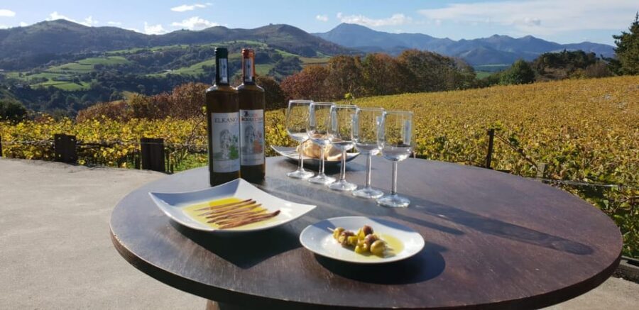 Getaria Txakoli wine tour from San Sebastian - When This Tour Is the Right Fit