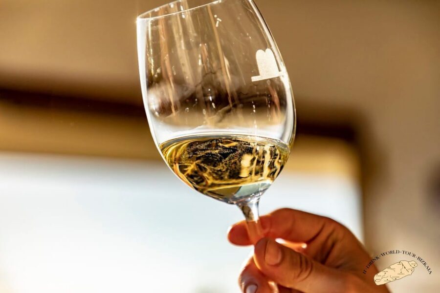 Getaria Txakoli wine tour from San Sebastian - A Few Practical Considerations (So You’re Comfortable)