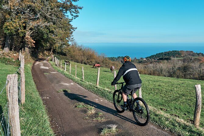Guided Electric Mountain Bike Tour in Gipuzkoa - Where You Start at Marina Kalea and How the Route Moves