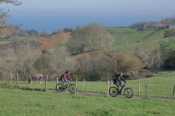 Guided Electric Mountain Bike Tour in Gipuzkoa - Price and Value: Is $117.11 Worth It?