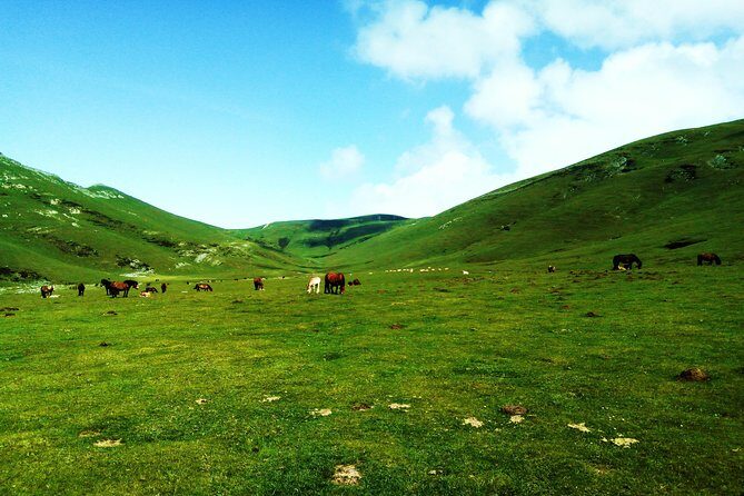 Hike the heart of the Basque country - A Real Basque Countryside Day From San Sebastián