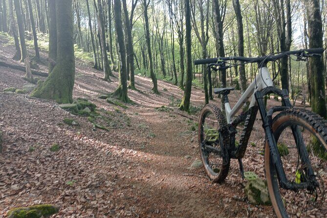 Mountain Bike Small Group Tour in San Sebastian - Timing, weather, and how to plan your day