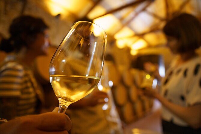 Premium Small Group Rioja Uncorked Tour from San Sebastian - Key highlights worth knowing