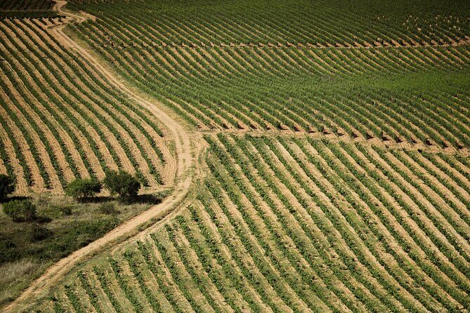 Premium Small Group Rioja Uncorked Tour from San Sebastian - Rioja from San Sebastián: why this 8.5-hour day trip works