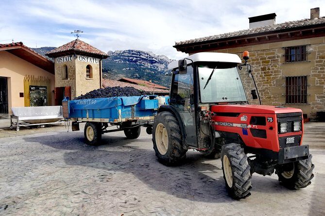 Private Day in Rioja from San Sebastian - Villabuena de Álava: Learn Rioja Labels Through Real Style Differences