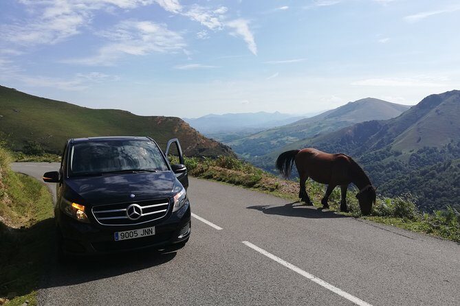 Private French Basque Countryside & Villages from San Sebastian - Getting there smoothly from San Sebastián: pickup, minivan, and timing