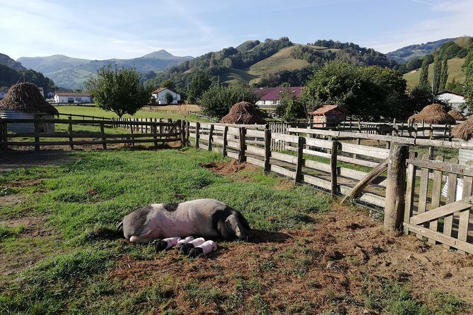 Private French Basque Countryside & Villages from San Sebastian - Espelette: how a 16th-century pepper turned into Basque-French identity