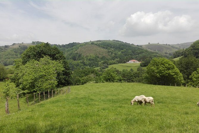 Private French Basque Countryside & Villages from San Sebastian - Why having Mikel’s kind of guide matters on a day like this